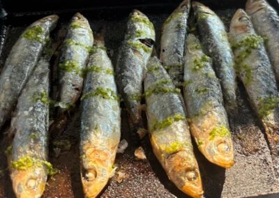 SARDINAS