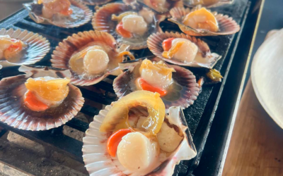 Port Vintage Càtering: Un «Sí, vul» davant del mar amb sabor a brasa